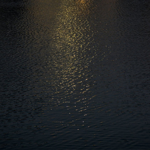 国产有码无码电影
