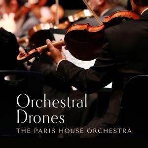 国产有码无码电影
